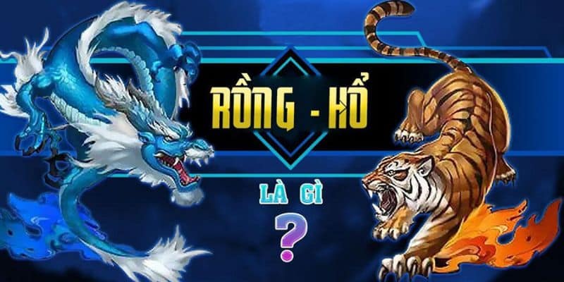 Rồng Hổ là gì? Tìm hiểu khái niệm cơ bản và luật chơi rồng hổ tại 789Club